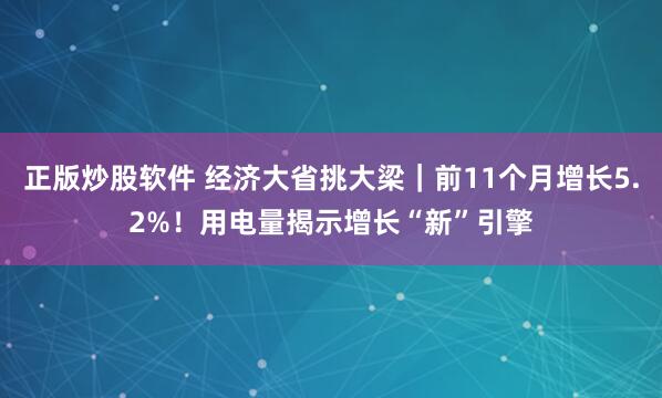 正版炒股软件 经济大省挑大梁｜前11个月增长5.2%！用电量揭示增长“新”引擎
